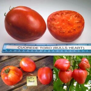 Boğa Yüreği Atalık Domates Tohumu
