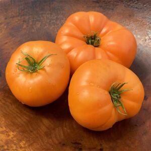Dixie Golden Giant Atalık Dev Domates Tohumu