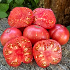 Cüce Hannah’s Prize Domates Tohumu Bodur Domates Projesi