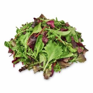 Fransız mesclun salata tohum karışımı