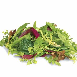 Fransız mesclun salata tohum karışımı