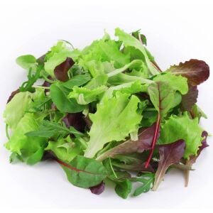 Fransız mesclun salata tohum karışımı