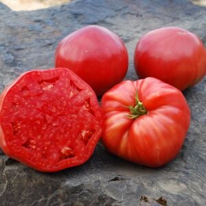 Radyatörcü Charlie'nin İpotek Kaldıran domates tohumu Atalık