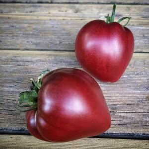 Cüce Mor Yürek Domates Tohumu Bodur Domates Projesi