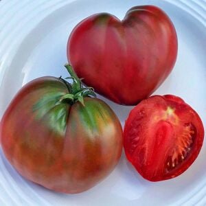Cüce Mor Yürek Domates Tohumu Bodur Domates Projesi