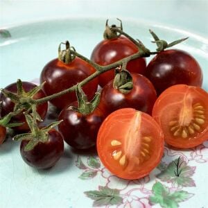 Mavi Berry Domates tohumu Atalık blue berry