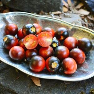Mavi Berry Domates tohumu Atalık blue berry