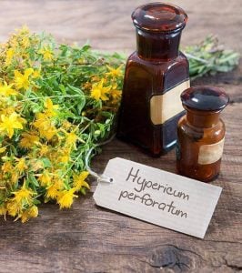 Topas sarı kantaron bitkisi hypericum perforatum topas