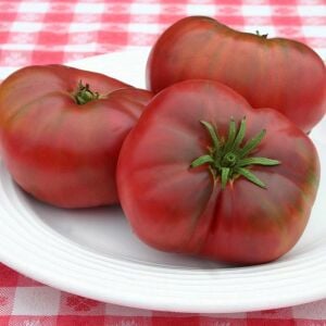 Mor Cüce Domatesi Tohumu – Dwarf roselle Purple