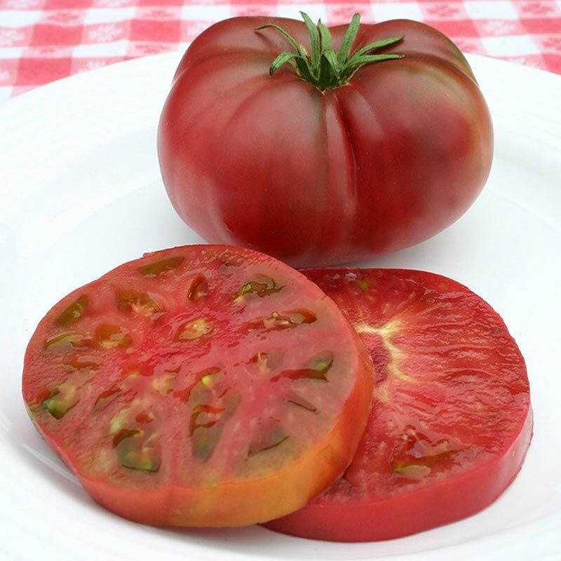 Mor Cüce Domatesi Tohumu – Dwarf roselle Purple