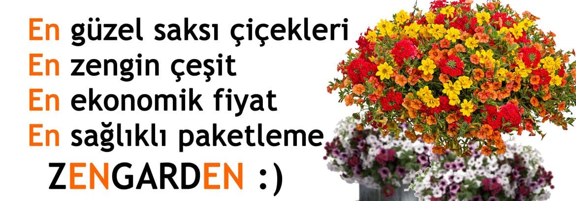 Çiçek Fİdesi